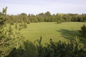 10 acres with two sides bordering public land