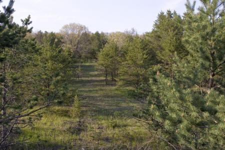 bordering wisconsin dnr land