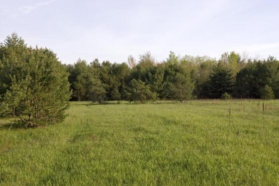 20 acres of prime recreational real estate