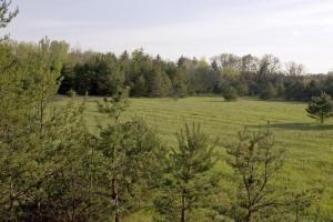 10 acres with additional land available