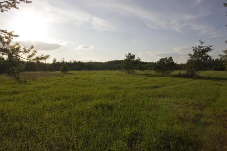 central wisconsin 20 acres of land