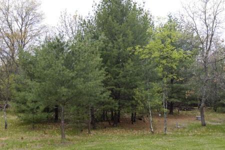 10 acres of prime land with a home