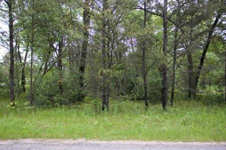 near castle rock lake and lake petenwell
