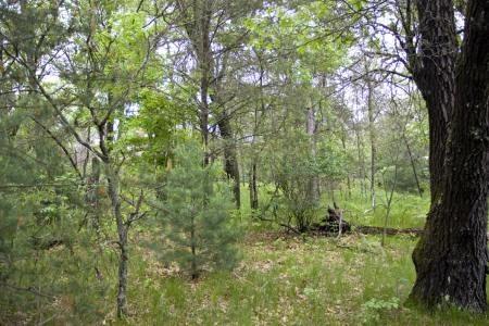 abundant with wildlife and serenity