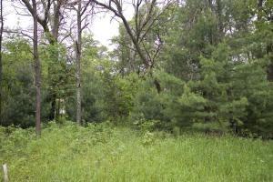 central wisconsin wooded site with few covenants