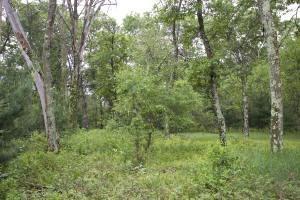 Central Wisconsin Prime Land For Sale