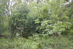 Central Wisconsin Getaway Near Wisconsin Dells