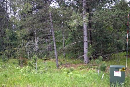 take a drive to castle rock lake