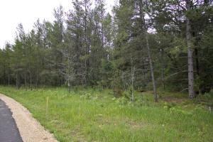 Central Wisconsin Acreage In Adams County