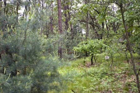 close to wisconsin river and lake petenwell