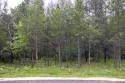 cabin and homesite in central wisconsin