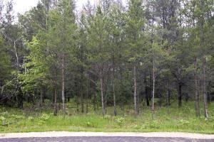 fully wooded cabin site in central wisconsin