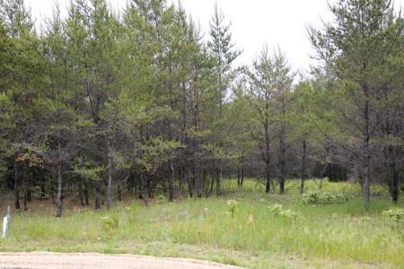 affordable building site with recorded covenants to protect your investment