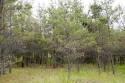 cabin site near wisconsin dells and wisconsin river