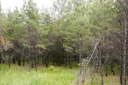 Central Wisconsin Land For Sale In Adams County