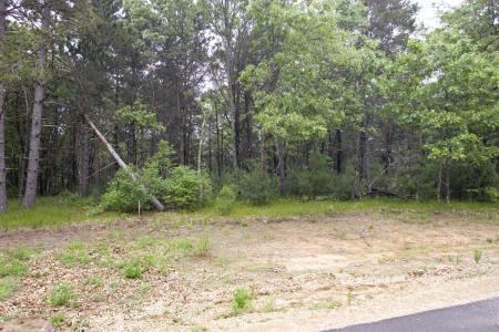 perfect site to build that log cabin