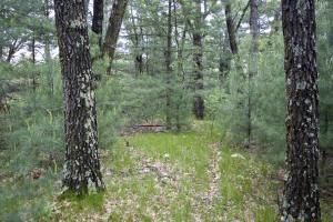 camp or build in central wisconsin