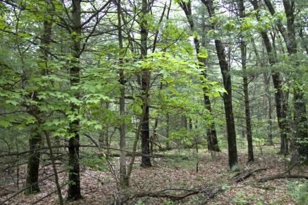 vacation land close to wisconsin dells
