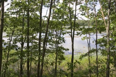 wooded building site on goose lake