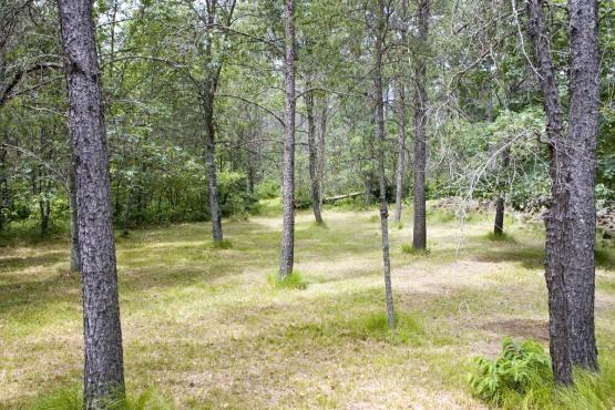 private cabin with land in adams county