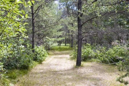 cabin for sale in wooded area in big flats township