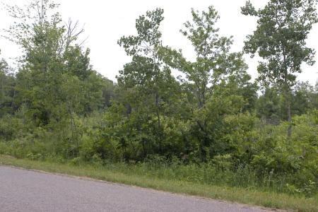 cheap buildable land for sale in central wisconsin