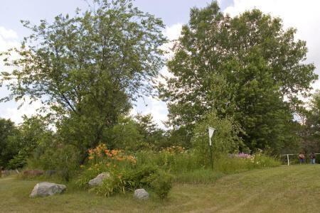 landscaped yard with abundance of wildflowers