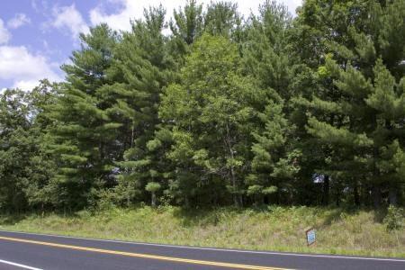 central wisconsin land for sale