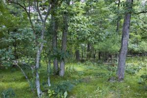 central wisconsin real estate for sale