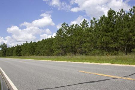 Wooded Lakefront Parcel For Sale