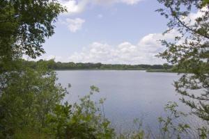 Petenwell lakefront for sale