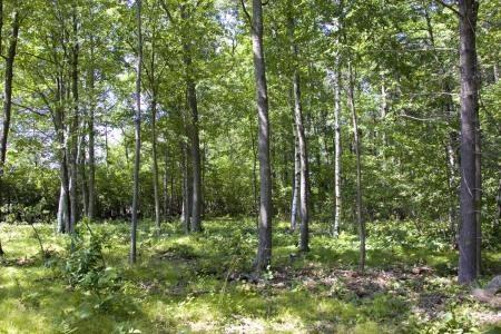 central wisconsin real estate in bevent township