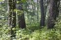 40 Acres In Adams County