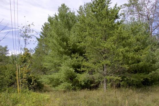 nearby atv & snowmobile trails