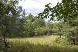 15 Acres Of Prime Land Near Lake Petenwell In Central Wisconsin