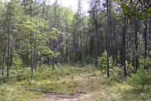 camp or build in heart of central wisconsin