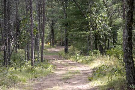 enjoy the scenery of abundant wildlife from your back yard