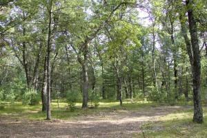 5 acres of wooded vacant land in central wisconsin