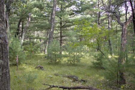 adams county land for sale in monroe township