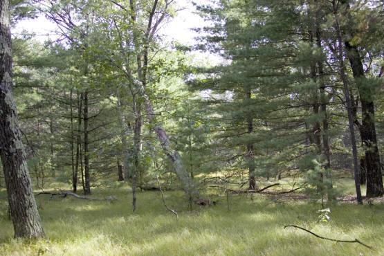 centrally located near ATV & snowmobile routes