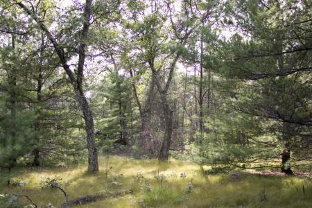 camp or build near popular fishing lake