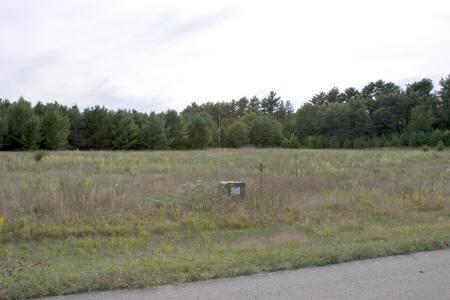 wooded property in monroe township