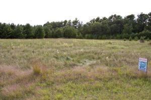 Central Wisconsin Deeded Lake Access To Lake Petenwell