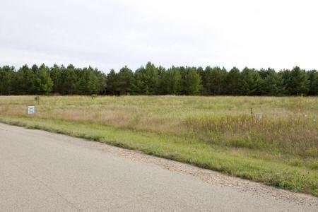 wooded cabin site with deeded access