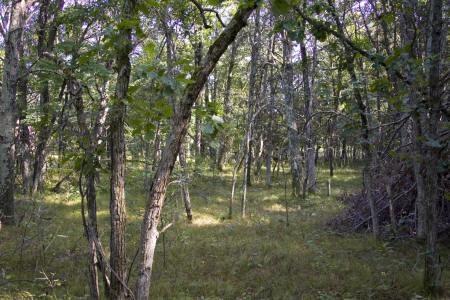 camp or build in dell prairie township with some ordinances