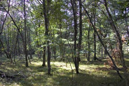 Adams County Acreage For Sale