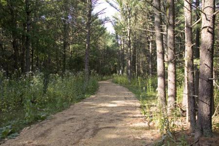 Enjoy fishing in Fawn Lake and Trout Creek.