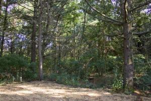 3 Acres With Wisconsin River Boat Launch Nearby.