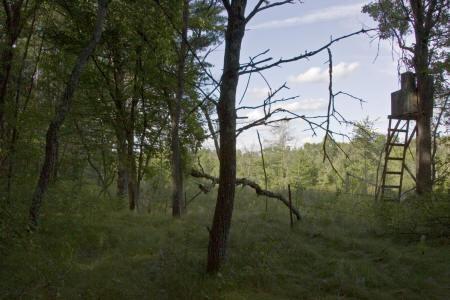 camp or build in dell prairie township