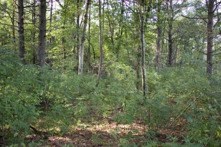 adams county land for sale